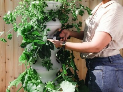 Private Gardening Services