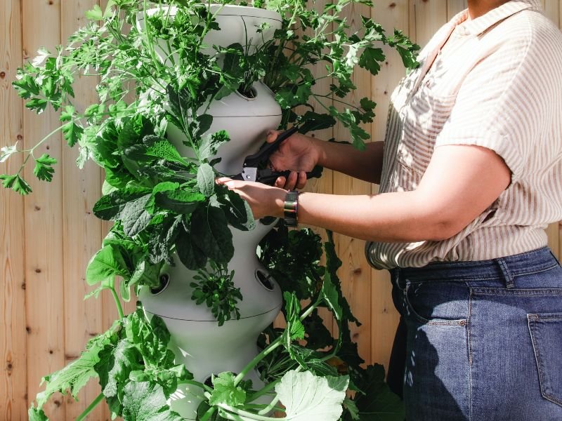 Private Gardening Services