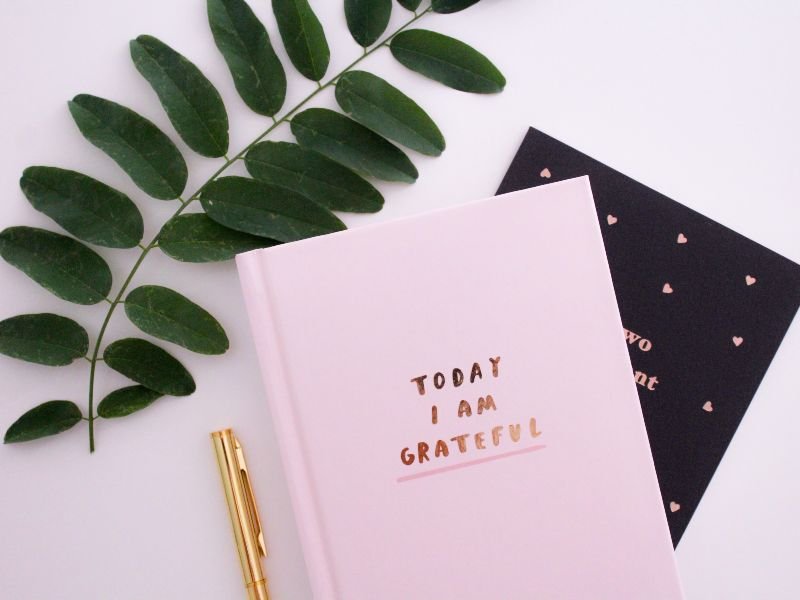 Pink Moleskine Notebook