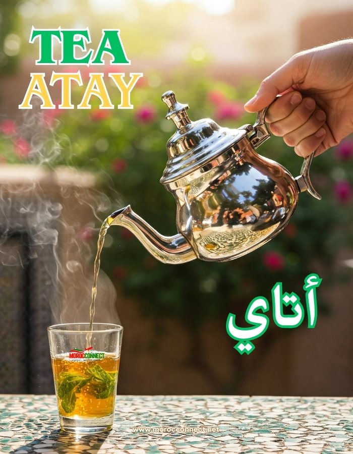 MorocConnect Learn Moroccan Arabic Darija 8